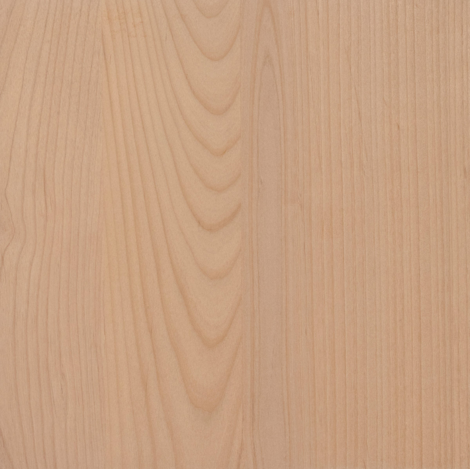 Alder