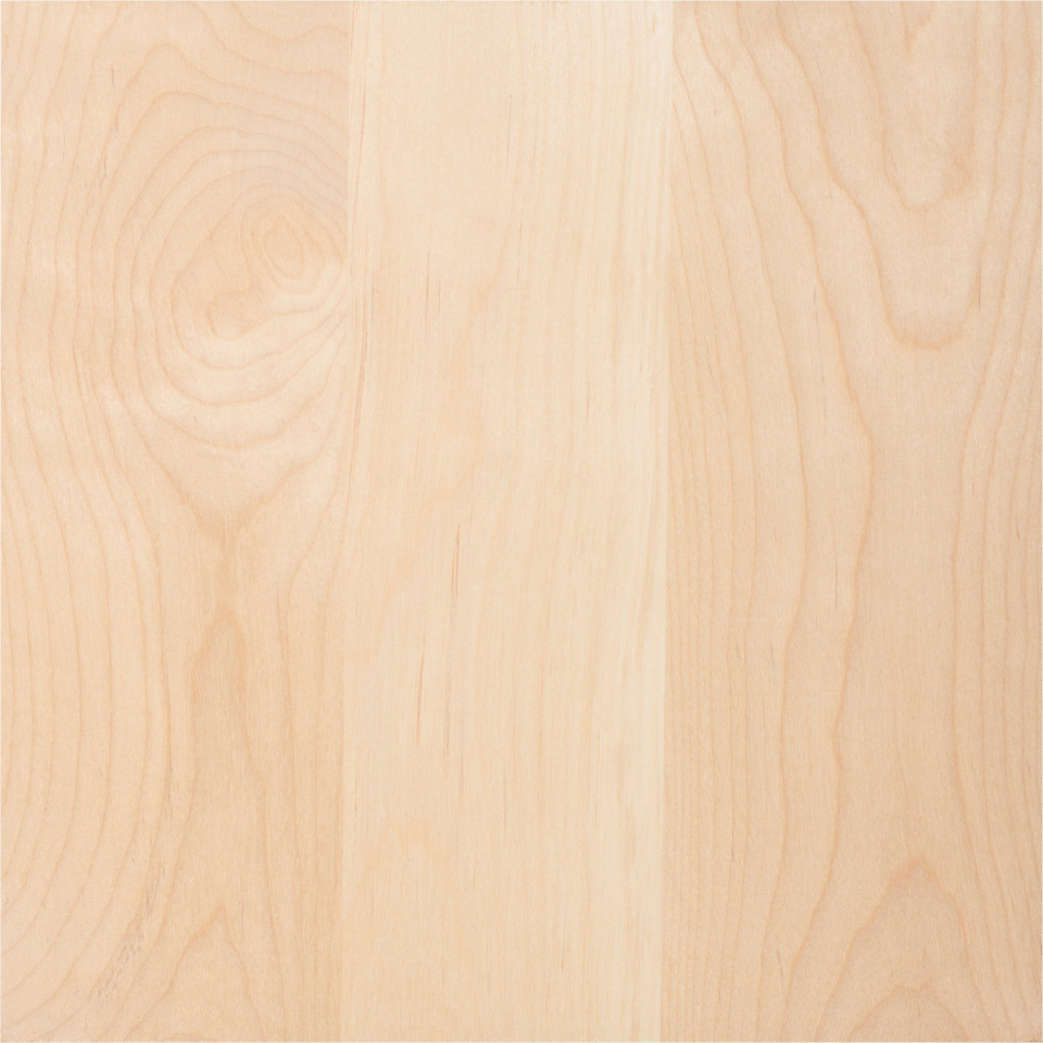 White Paint Grade Birch