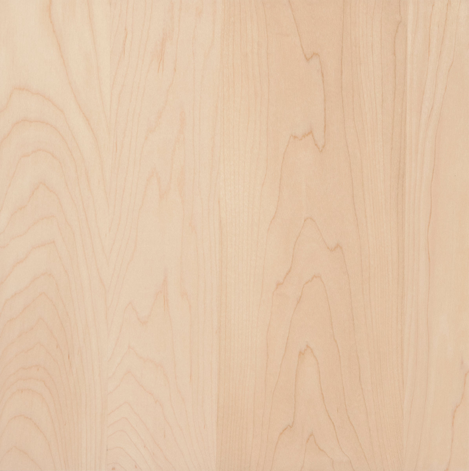 Hard Maple