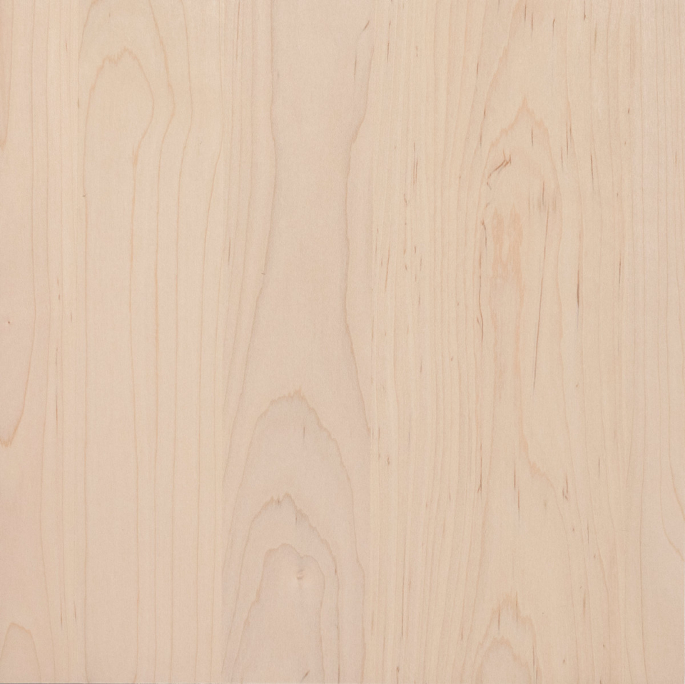 Soft Maple