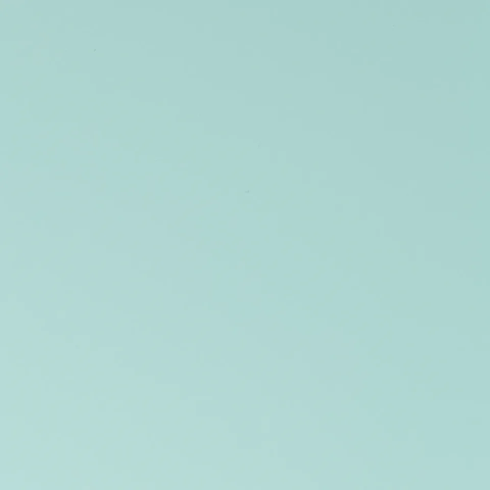 Margaritaville Paint